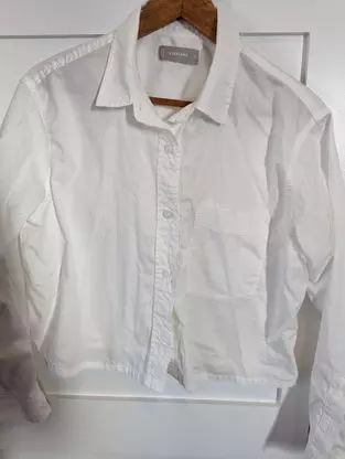 White Button-Down Shirts